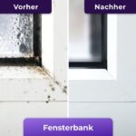 imgi_18_SGVyb181X0JlZm9yZV9BZnRlcl9tb2xkX2dlbF9WZXhDbGVhbi1ERS0xLmpwZw-h_480