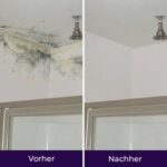 imgi_84_My1TYWJyaW5hLURFLmpwZw-w_351